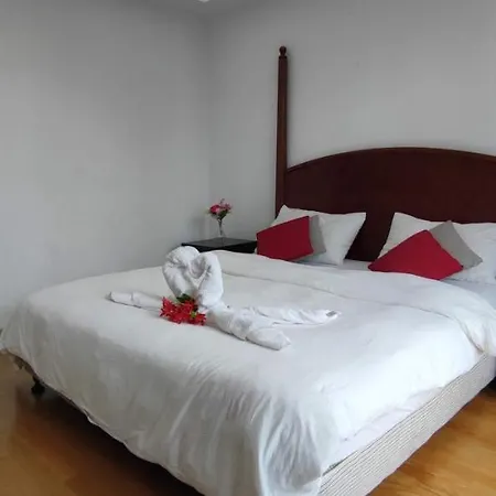 3 Bedroom Cozy Apartmet